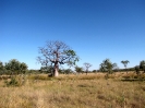 Broome - Katherine