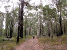 Von Busselton nach Geraldton_12