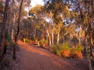 Von Busselton nach Geraldton_26