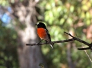 Von Busselton nach Geraldton_3