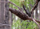 Von Busselton nach Geraldton_6