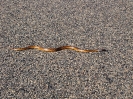 Geraldton - Broome