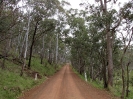 Von Kyogle nach Muswellbrook_19