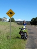 Von Kyogle nach Muswellbrook_7