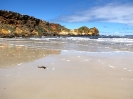 Melbourne Meningie