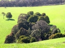 Von Muswellbrook nach Sydney_12