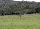 Von Muswellbrook nach Sydney_24