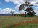 Sydney Jindabyne