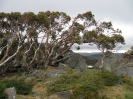 Von Sydney nach Jindabyne_26