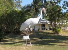 Townsville - Brisbane