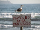 Los Andes - La Serena