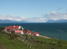 Von Punta Arenas nach Ushuaia_9