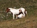 Von Val d'Isere in die Schweiz_22