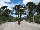 Chaiten - Passo Bermejo