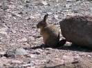 Colchane - Arica