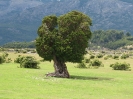 Von El Calafate nach Chaiten_74