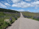 Von El Calafate nach Chaiten_80