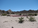 Passo Bermejo - La Poma