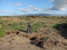 Von Punta Arenas nach El Calafate_12