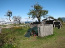 Von Punta Arenas nach El Calafate_23