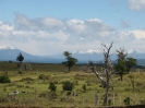 Von Punta Arenas nach El Calafate_55