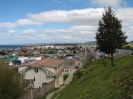 Von Punta Arenas nach El Calafate_5