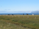 Von Jokulsarlon nach Keflavik_40