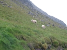 Von Keflavik nach Patreksfjördur_45