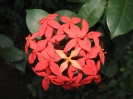 Von Habana nach Trinidad_54