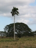 Von Trinidad über Baracoa nach Matanzas_11