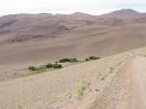 Tolar Grande - Antofagasta de la sierra