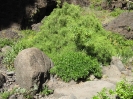 Von Masca nach La Laguna_44
