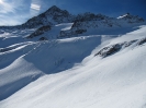 Skitour auf das Gross Griessenhorn_21