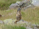 Wanderung zum Campo Tencia_35