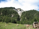 Campo Tencia