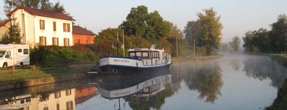 velo 31